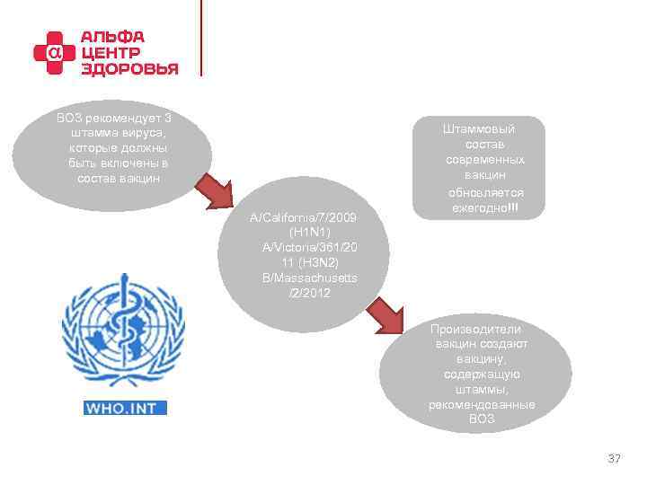  ВОЗ рекомендует 3 штамма вируса, которые должны быть включены в состав вакцин A/California/7/2009