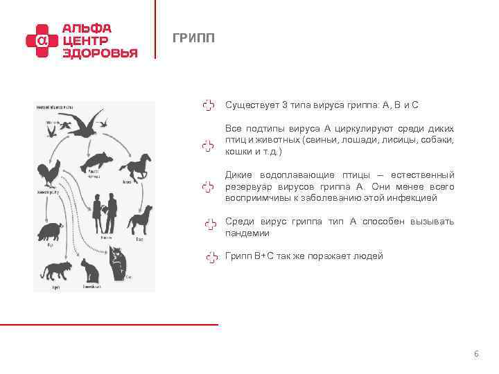 ГРИПП Существует 3 типа вируса гриппа: A, B и C Все подтипы вируса А