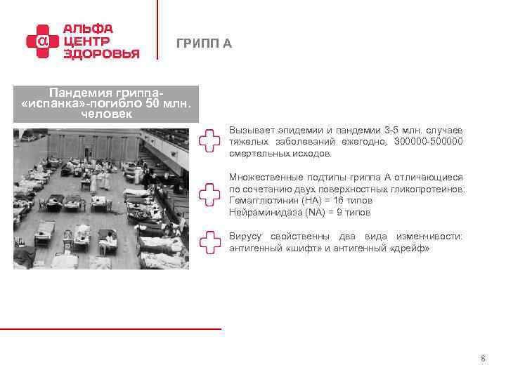 ГРИПП А Пандемия гриппа «испанка» -погибло 50 млн. человек Вызывает эпидемии и пандемии 3