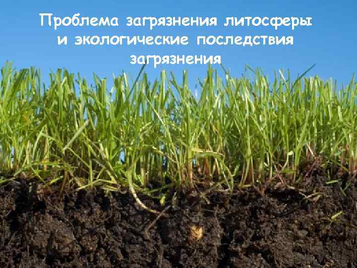 Проблема загрязнения литосферы и экологические последствия загрязнения 