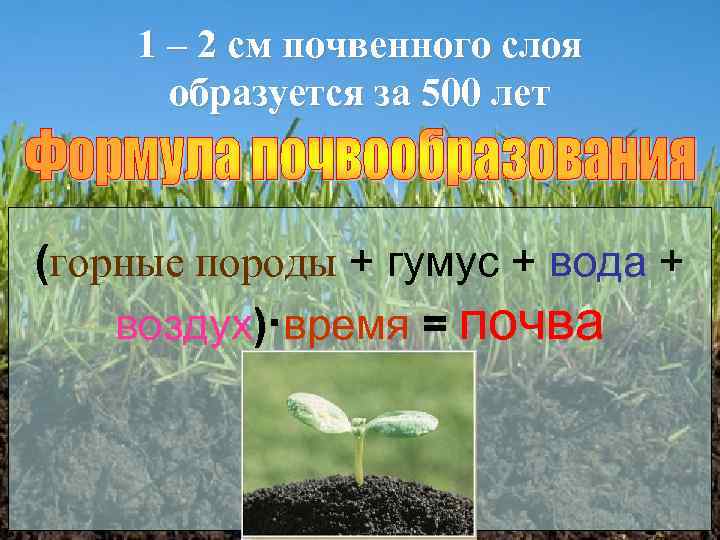 1 – 2 см почвенного слоя образуется за 500 лет (горные породы + гумус