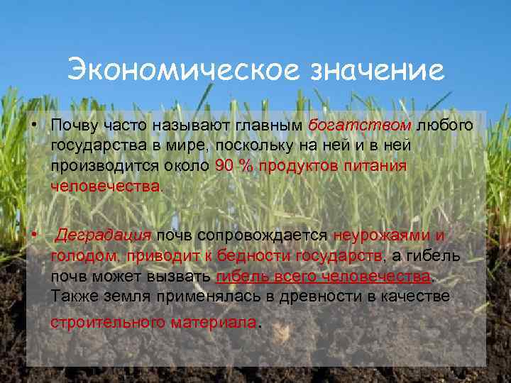 Экономическое значение • Почву часто называют главным богатством любого государства в мире, поскольку на