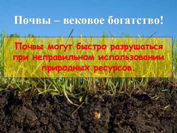 Почвы – вековое богатство! Почвы могут быстро разрушаться при неправильном использовании природных ресурсов. 