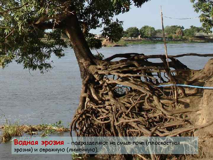 Водная эрозия - подразделяют на смыв почв (плоскостная эрозия) и овражную (линейную). 