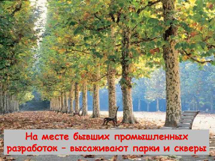 Неправильная В степных Выпас скота районах Крыма садят агротехника специальные лесные полосы для полевых