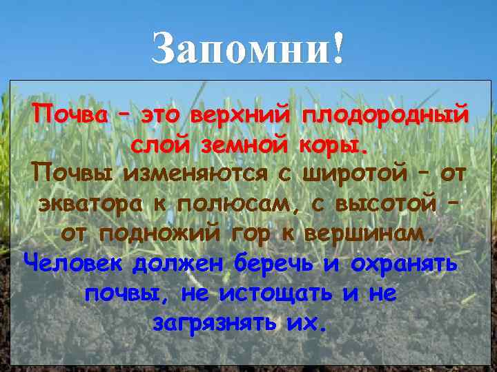 Запомни! Почва – это верхний плодородный слой земной коры. Почвы изменяются с широтой –