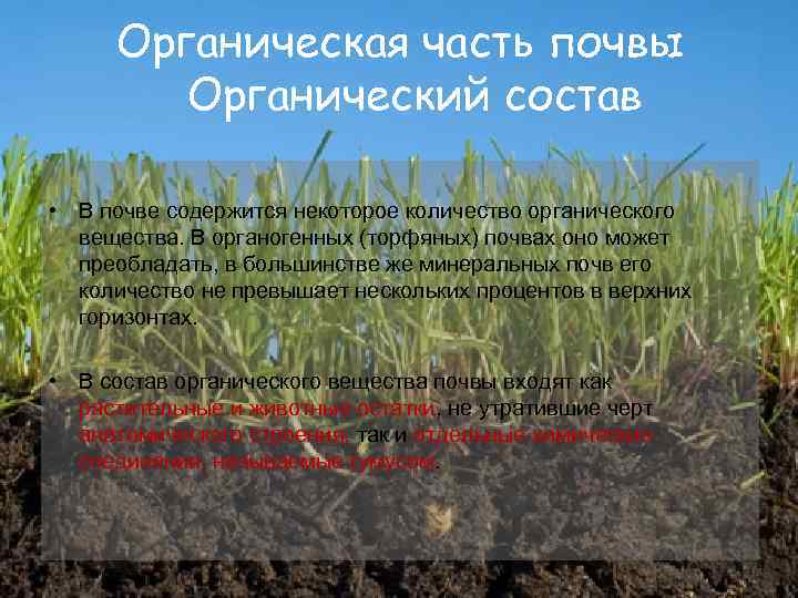 Плодородный слой почвы содержащий органические соединения называется. Органическая часть почвы. Состав органической части почвы. Минеральная и органическая часть почвы. Формирование органической части почвы.