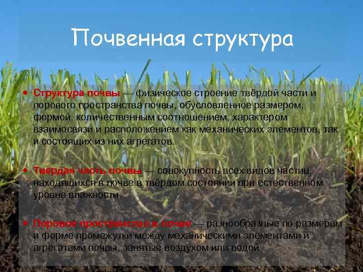 Почвенная структура Структура почвы — физическое строение твёрдой части и порового пространства почвы, обусловленное