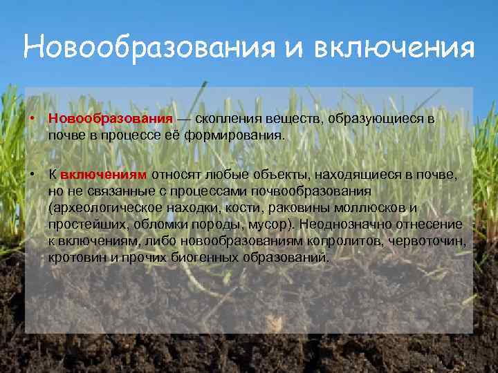 Какие значения почвы. Хозяйственное значение почв. Поровое пространство почв. Хозяйственное значение почв кратко. Выпишите хозяйственное значение почв.