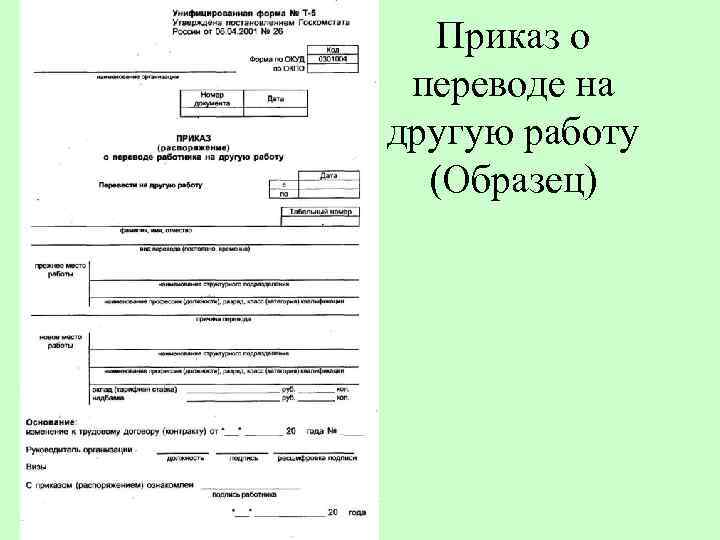 Приказ на перевод на другой график работы образец