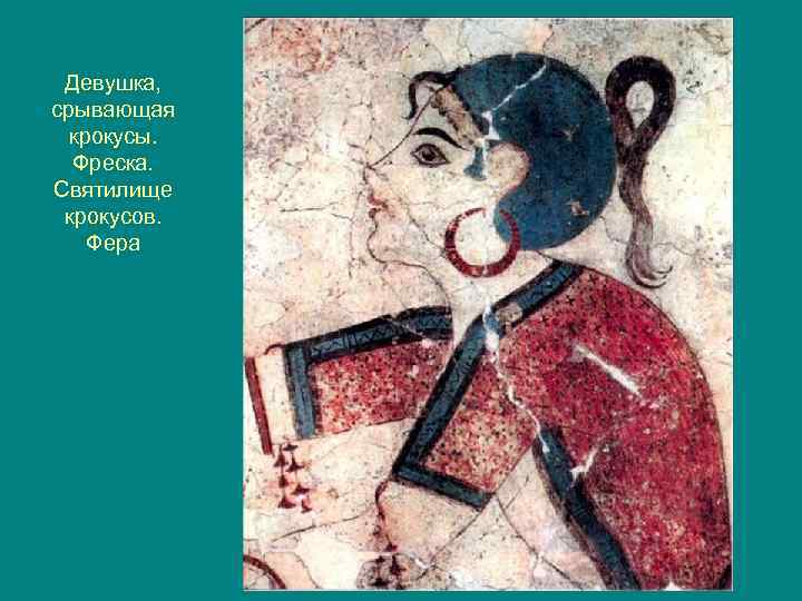 Девушка, срывающая крокусы. Фреска. Святилище крокусов. Фера 