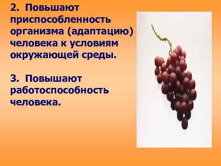 2. Повьшают приспособленность организма (адаптацию) человека к условиям окружающей среды. 3. Повышают работоспособность человека.