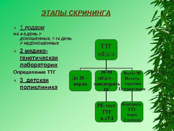ЭТАПЫ СКРИНИНГА 1 РОДДОМ НА 4 -5 ДЕНЬ У ДОНОШЕННЫХ, 7 -14 ДЕНЬ У