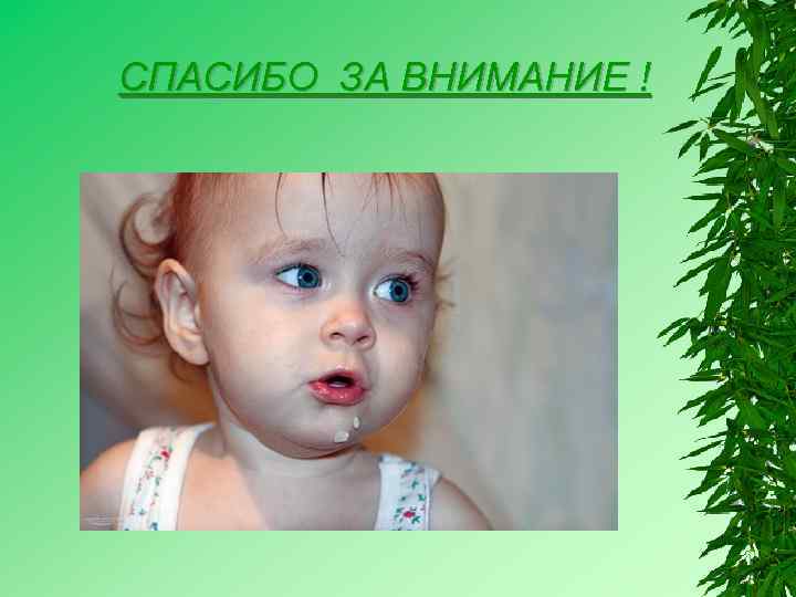 СПАСИБО ЗА ВНИМАНИЕ ! 