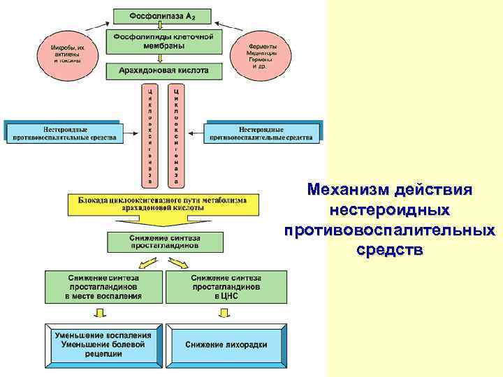 Механизм действия нестероидных противовоспалительных средств 
