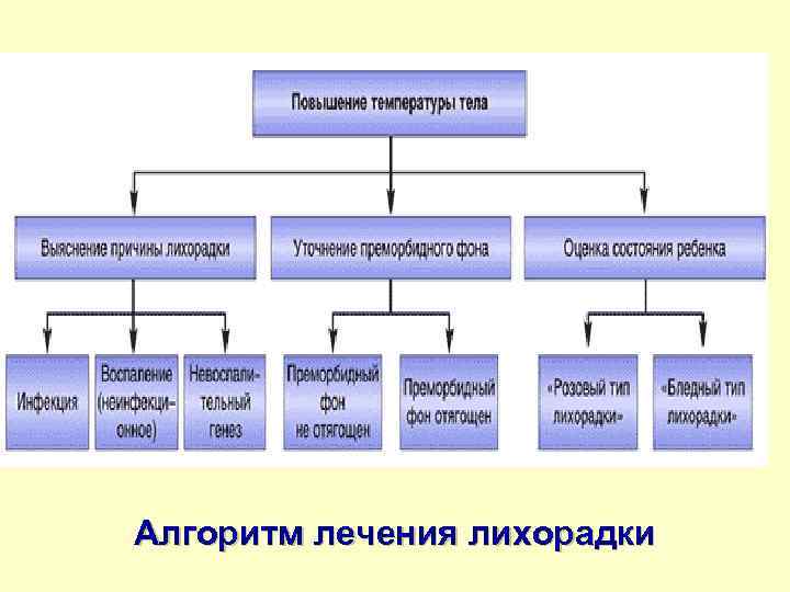 Алгоритм лечения лихорадки 