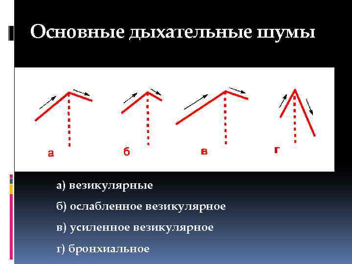 Виды дыхания при аускультации легких схема