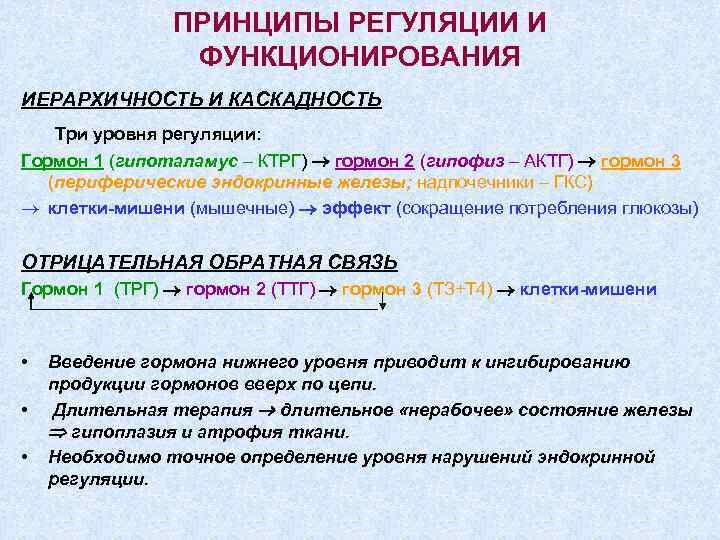 ПРИНЦИПЫ РЕГУЛЯЦИИ И ФУНКЦИОНИРОВАНИЯ ИЕРАРХИЧНОСТЬ И КАСКАДНОСТЬ Три уровня регуляции: Гормон 1 (гипоталамус –