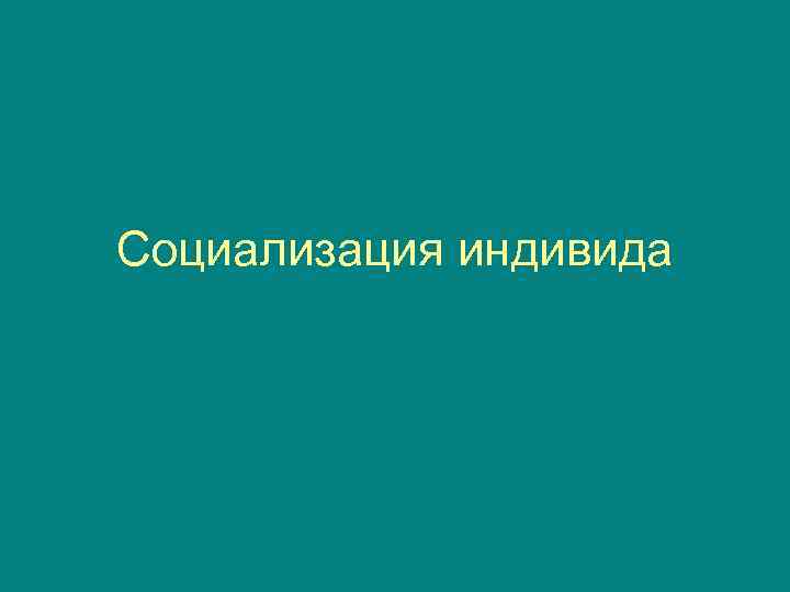 Социализация индивида 