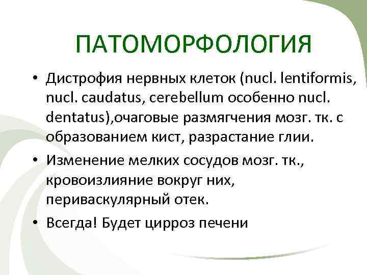 ПАТОМОРФОЛОГИЯ • Дистрофия нервных клеток (nucl. lentiformis, nucl. caudatus, cerebellum особенно nucl. dentatus), очаговые