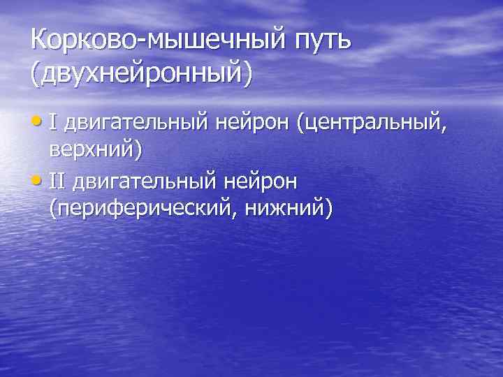 Корково-мышечный путь (двухнейронный) • I двигательный нейрон (центральный, верхний) • II двигательный нейрон (периферический,