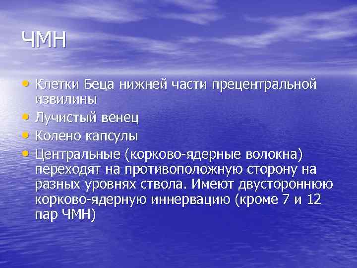 ЧМН • Клетки Беца нижней части прецентральной • • • извилины Лучистый венец Колено