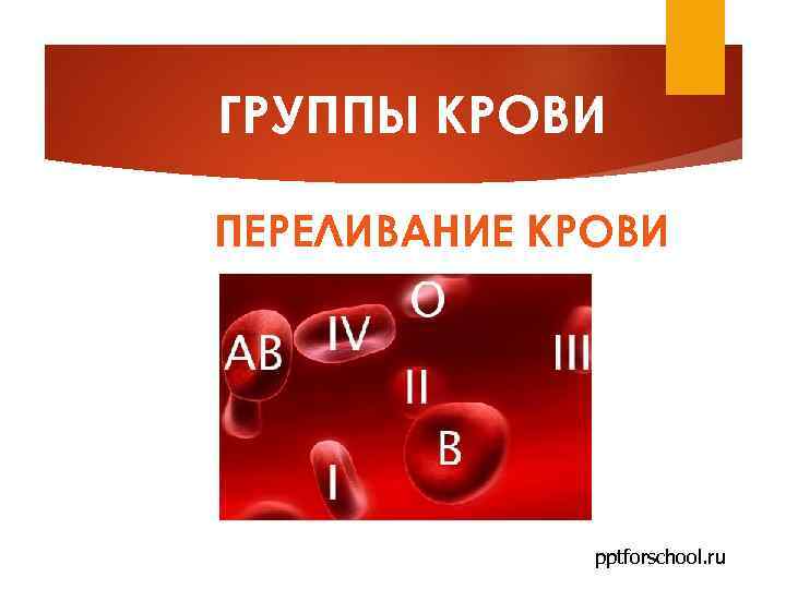 ГРУППЫ КРОВИ ПЕРЕЛИВАНИЕ КРОВИ pptforschool. ru 