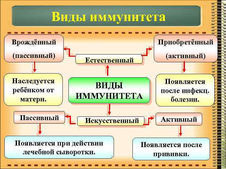 Виды иммунитета Врождённый Приобретённый (пассивный) (активный) Наследуется ребёнком от матери. Пассивный Естественный ВИДЫ ИММУНИТЕТА