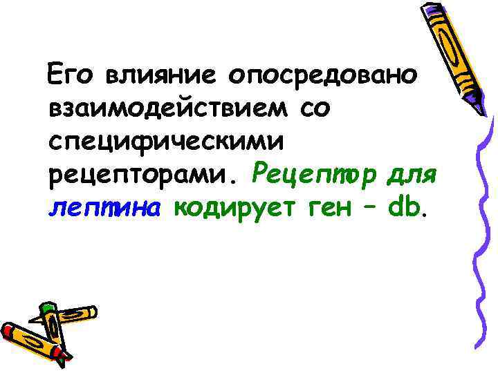 Его влияние опосредовано взаимодействием со специфическими рецепторами. Рецептор для лептина кодирует ген – db.