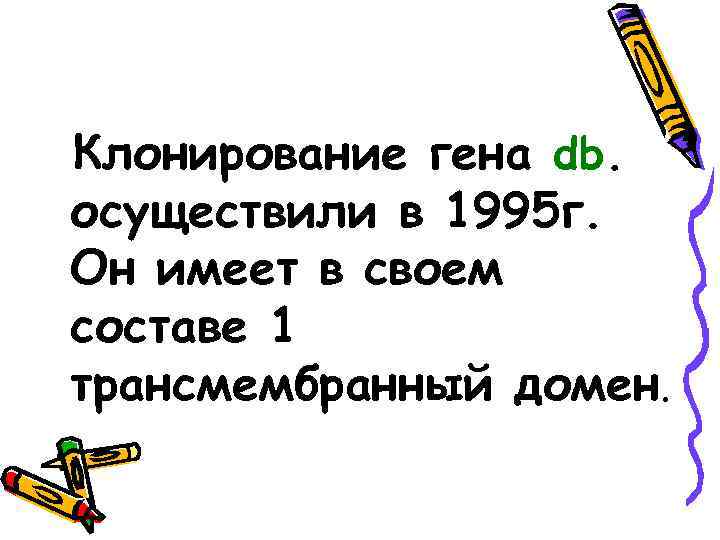 Клонирование гена db. осуществили в 1995 г. Он имеет в своем составе 1 трансмембранный