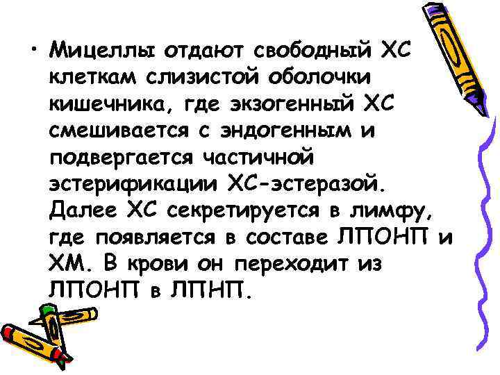  • Мицеллы отдают свободный ХС клеткам слизистой оболочки кишечника, где экзогенный ХС смешивается