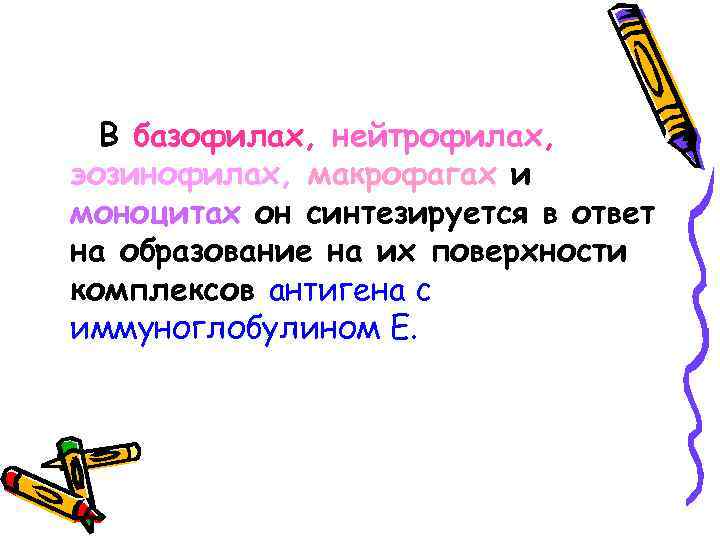 В базофилах, нейтрофилах, эозинофилах, макрофагах и моноцитах он синтезируется в ответ на образование на
