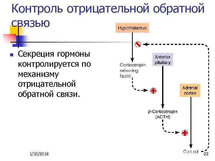 Обратная связь положительная и отрицательная схема