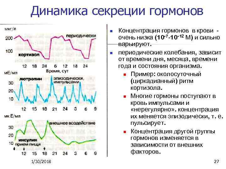 Динамика секреции гормонов n n 1/30/2018 Концентрация гормонов в крови очень низка (10 -7
