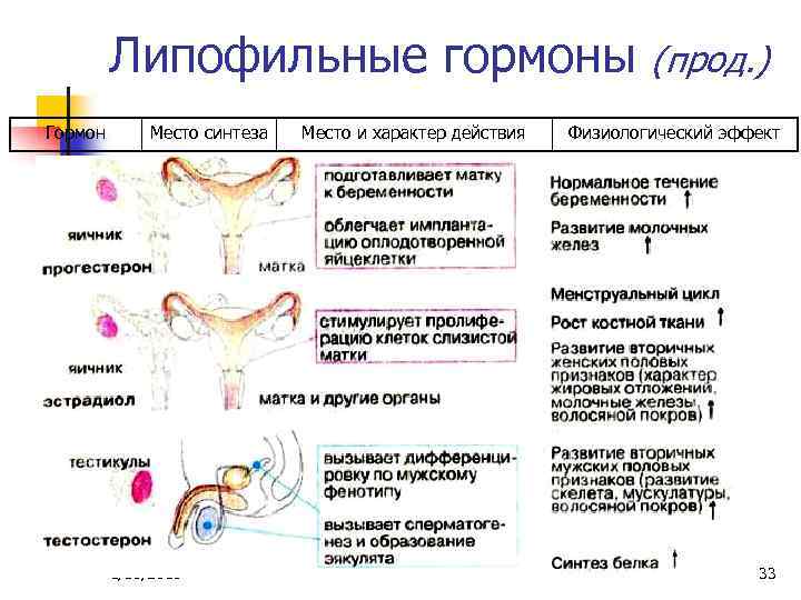 Липофильные гормоны Гормон Место синтеза 1/30/2018 Место и характер действия (прод. ) Физиологический эффект