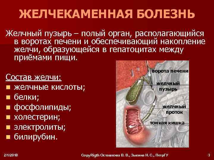 ЖЕЛЧЕКАМЕННАЯ БОЛЕЗНЬ Желчный пузырь – полый орган, располагающийся в воротах печени и обеспечивающий накопление