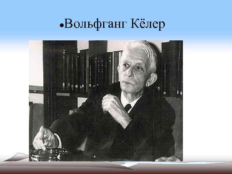  Вольфганг Кёлер 