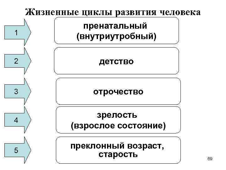 Жизненные циклы развития человека 1 пренатальный (внутриутробный) 2 детство 3 отрочество 4 зрелость (взрослое