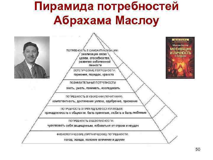 Пирамида потребностей Абрахама Маслоу 50 Пирамида потребностей Абрахама Маслоу 50