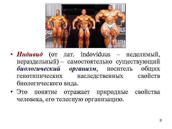 • Индивид (от лат. indоviduus – неделимый, нераздельный) – самостоятельно существующий биологический организм, • Индивид (от лат. indоviduus – неделимый, нераздельный) – самостоятельно существующий биологический организм,