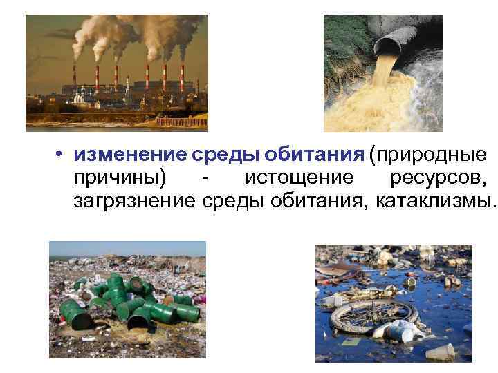  • изменение среды обитания (природные причины) - истощение ресурсов, загрязнение среды обитания, катаклизмы.