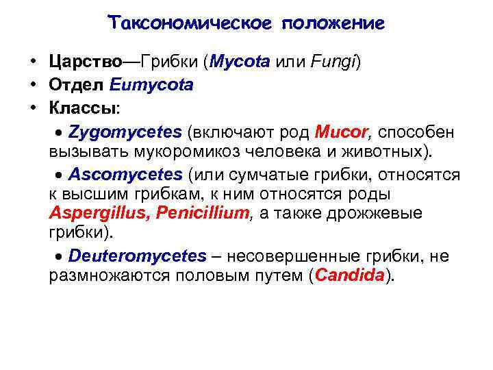 Таксономическое положение • Царство—Грибки (Mycota или Fungi) • Отдел Eumycota • Классы: Zygomycetes (включают