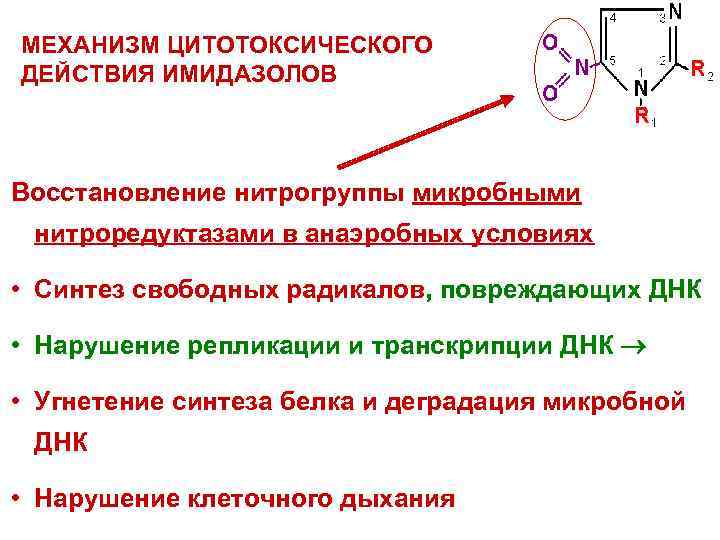 МЕХАНИЗМ ЦИТОТОКСИЧЕСКОГО ДЕЙСТВИЯ ИМИДАЗОЛОВ Восстановление нитрогруппы микробными нитроредуктазами в анаэробных условиях • Синтез свободных