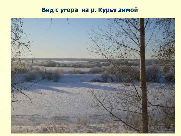 Вид с угора на р. Курья зимой 