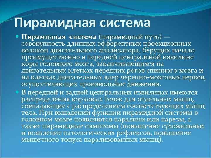 Пирамидная система (пирамидный путь) — совокупность длинных эфферентных проекционных волокон двигательного анализатора, берущих начало