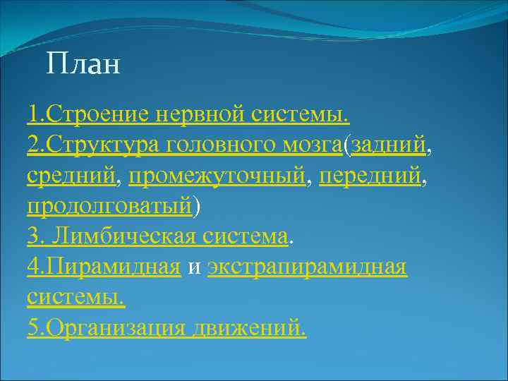 План 1. Строение нервной системы. 2. Структура головного мозга(задний, средний, промежуточный, передний, продолговатый) 3.