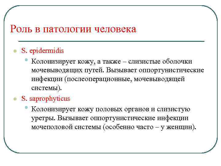 Роль в патологии человека l l S. epidermidis • Колонизирует кожу, а также –