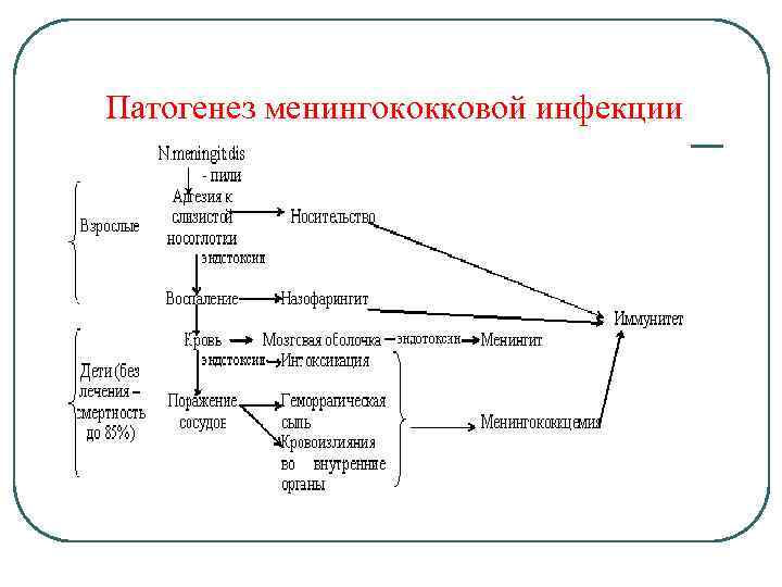 Менингококковая инфекция патогенез схема