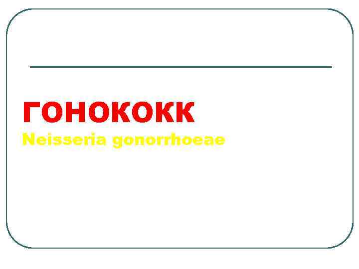 ГОНОКОКК Neisseria gonorrhoeae 