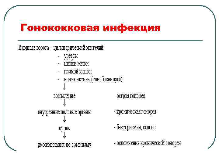 Гонококковая инфекция 